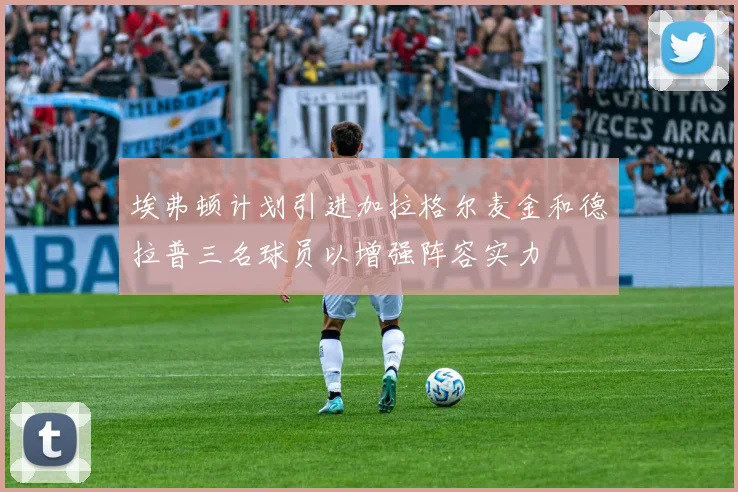 埃弗顿计划引进加拉格尔麦金和德拉普三名球员以增强阵容实力